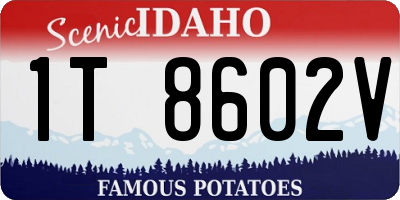 ID license plate 1T8602V