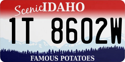 ID license plate 1T8602W