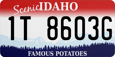 ID license plate 1T8603G