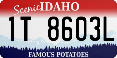 ID license plate 1T8603L