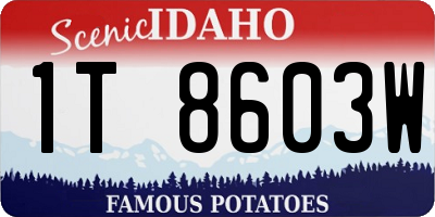 ID license plate 1T8603W