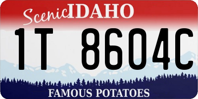 ID license plate 1T8604C