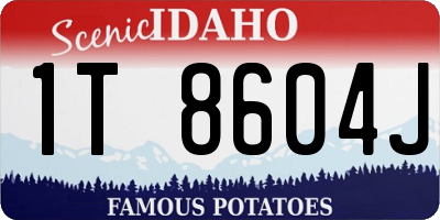 ID license plate 1T8604J