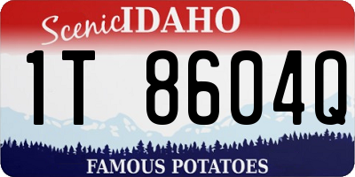 ID license plate 1T8604Q