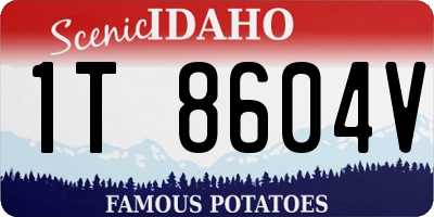 ID license plate 1T8604V