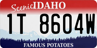 ID license plate 1T8604W