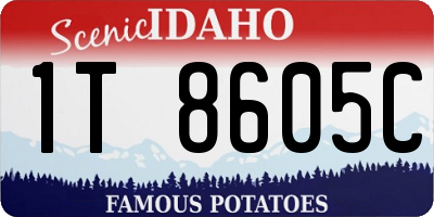 ID license plate 1T8605C