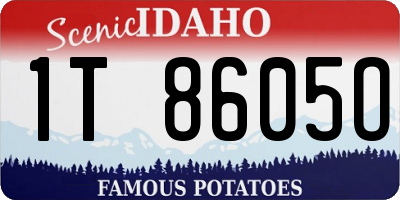 ID license plate 1T8605O