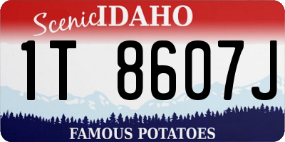 ID license plate 1T8607J