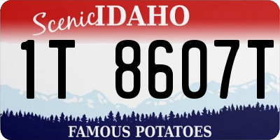 ID license plate 1T8607T