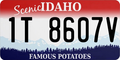 ID license plate 1T8607V