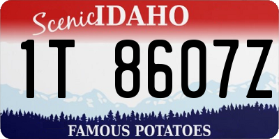 ID license plate 1T8607Z