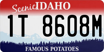 ID license plate 1T8608M