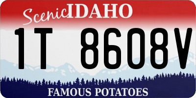 ID license plate 1T8608V