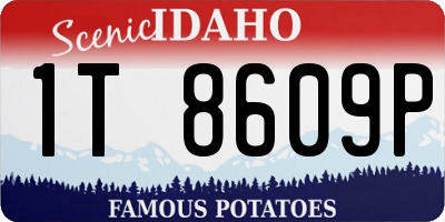 ID license plate 1T8609P