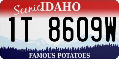 ID license plate 1T8609W