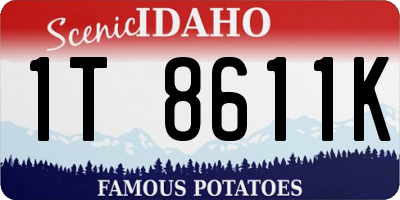 ID license plate 1T8611K