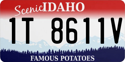 ID license plate 1T8611V
