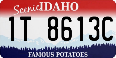 ID license plate 1T8613C