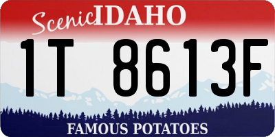 ID license plate 1T8613F