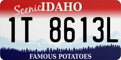ID license plate 1T8613L