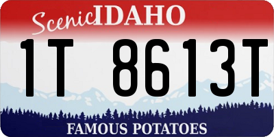 ID license plate 1T8613T