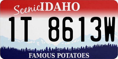 ID license plate 1T8613W