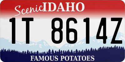 ID license plate 1T8614Z