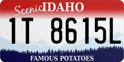 ID license plate 1T8615L