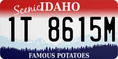 ID license plate 1T8615M
