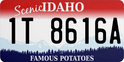 ID license plate 1T8616A