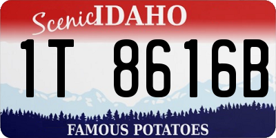 ID license plate 1T8616B