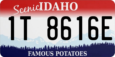 ID license plate 1T8616E