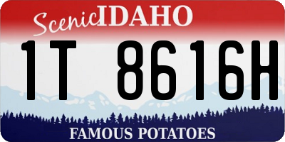 ID license plate 1T8616H