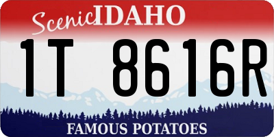 ID license plate 1T8616R
