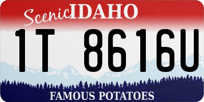 ID license plate 1T8616U