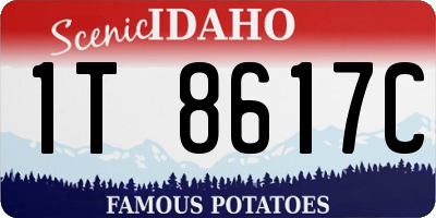 ID license plate 1T8617C