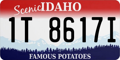ID license plate 1T8617I