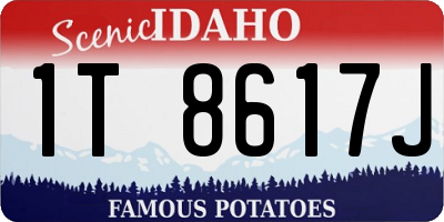 ID license plate 1T8617J