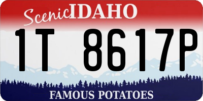ID license plate 1T8617P