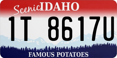 ID license plate 1T8617U