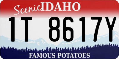 ID license plate 1T8617Y