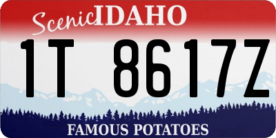 ID license plate 1T8617Z