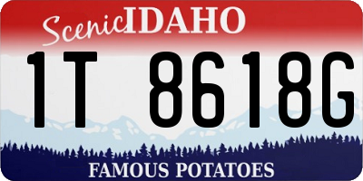 ID license plate 1T8618G