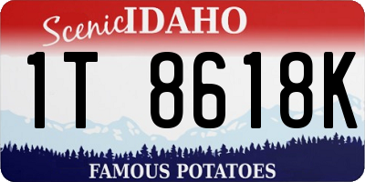 ID license plate 1T8618K