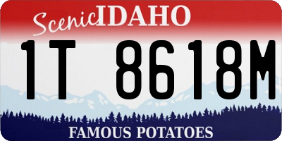 ID license plate 1T8618M