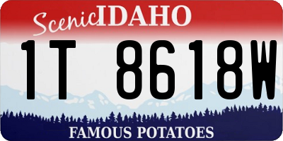 ID license plate 1T8618W