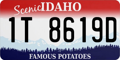 ID license plate 1T8619D