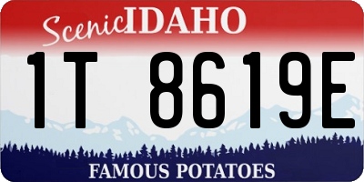 ID license plate 1T8619E