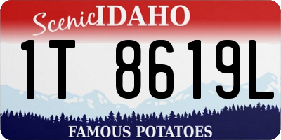 ID license plate 1T8619L